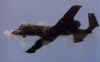 A-10 Thunderbolt image7
