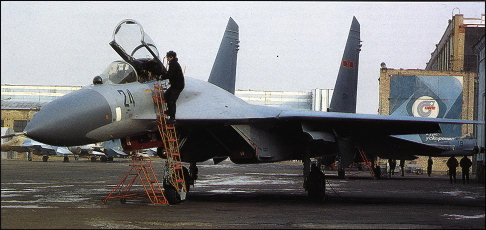 Sukhoi Su-27 Flanker image5
